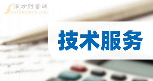 2024年第二季度技术服务公司每股收益排行榜 洞察技术开发领域的盈利先锋